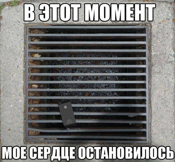 Прикольные картинки (88 фото)