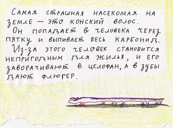 Психоделические истории (19 фото)