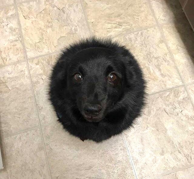 Удивительные вещи