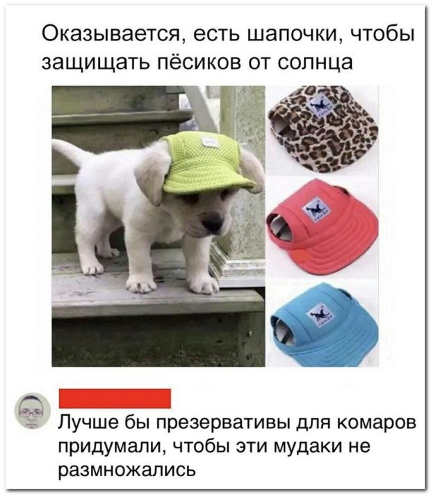 Приколы из социальных сетей