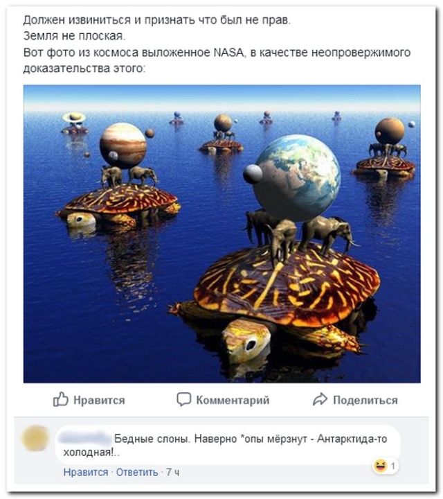 Приколы из социальных сетей