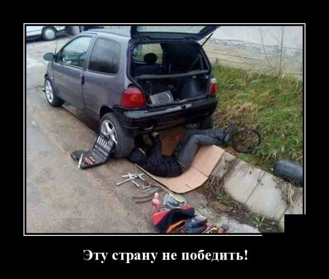 Демотиваторы