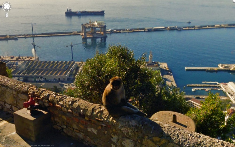 Странные кадры на Google Street View