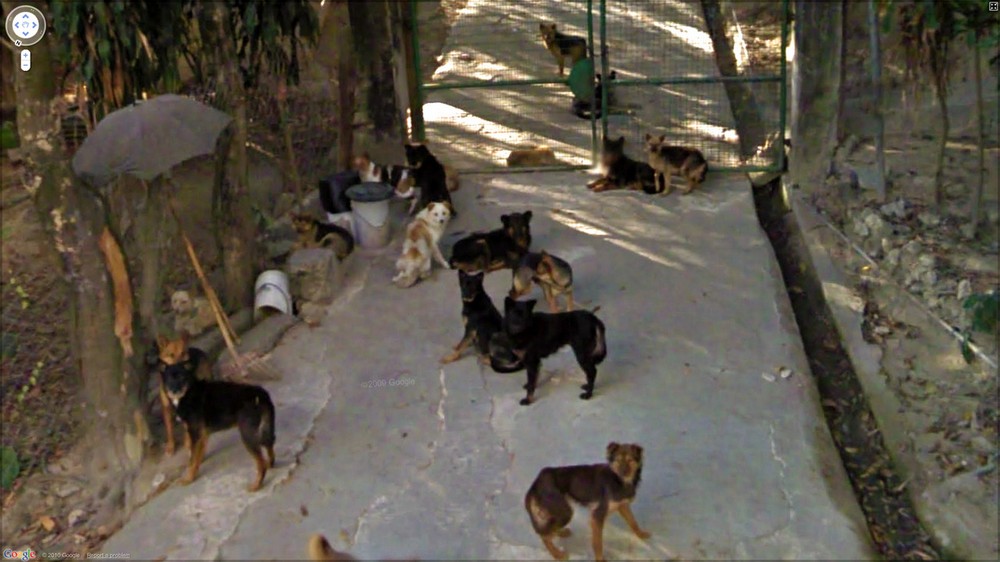 Странные кадры на Google Street View
