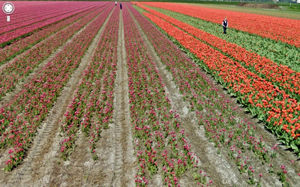Странные кадры на Google Street View