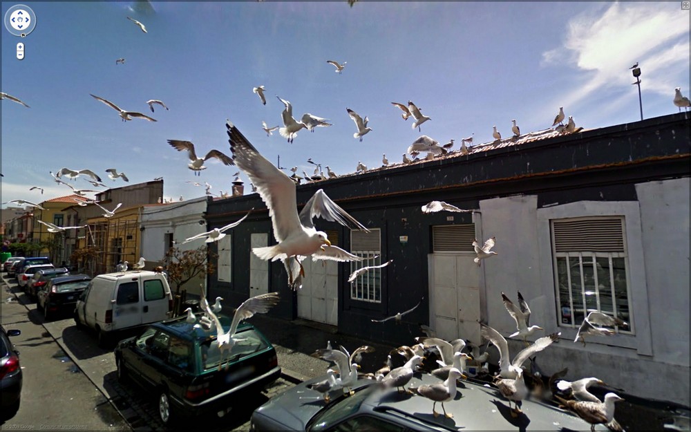 Странные кадры на Google Street View