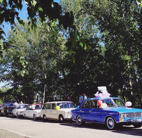 Порция картинок