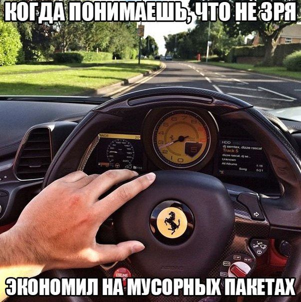 Порция картинок