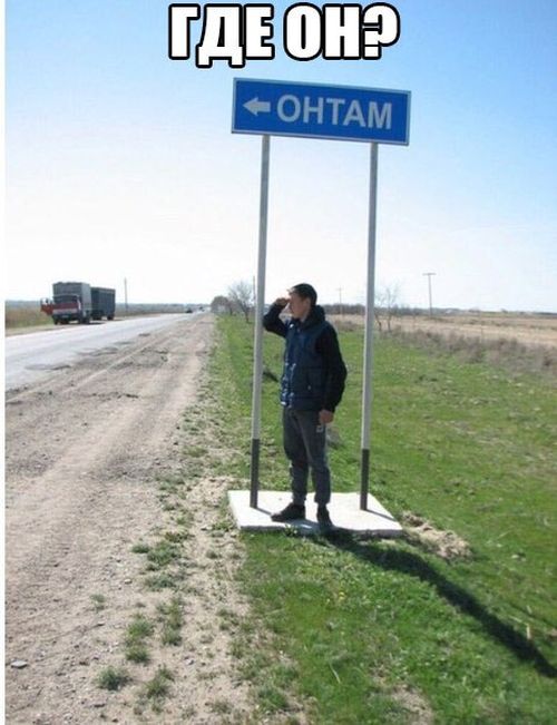 Порция картинок