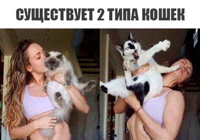 Прикольные картинки