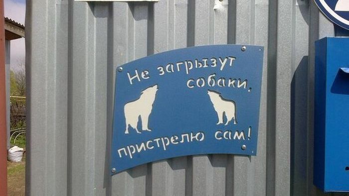 Прикольные картинки