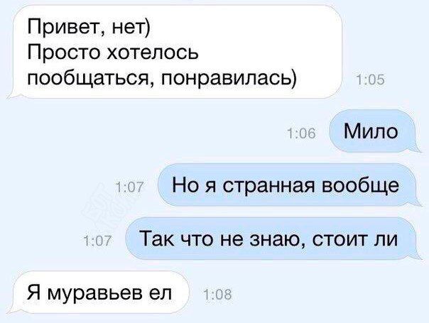 Прикольные картинки