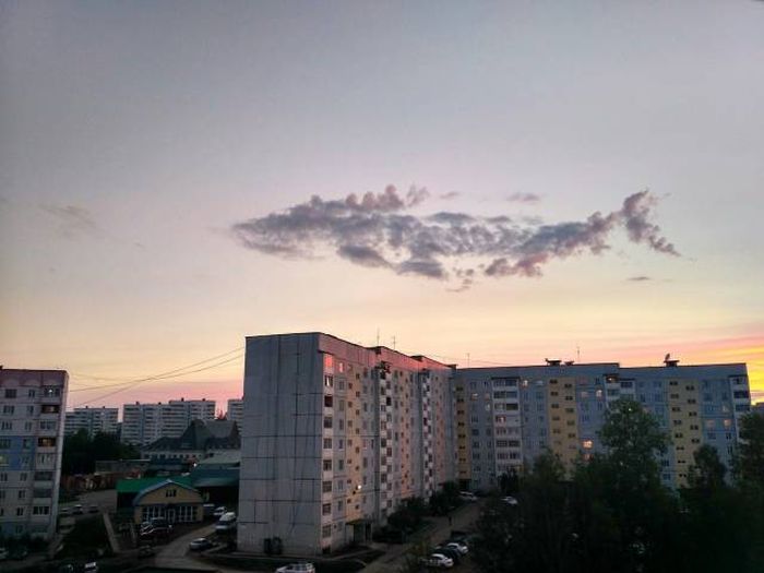 Прикольные картинки