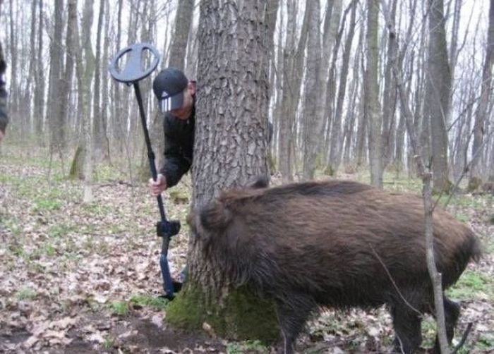 Прикольные картинки