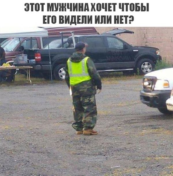 Прикольные картинки