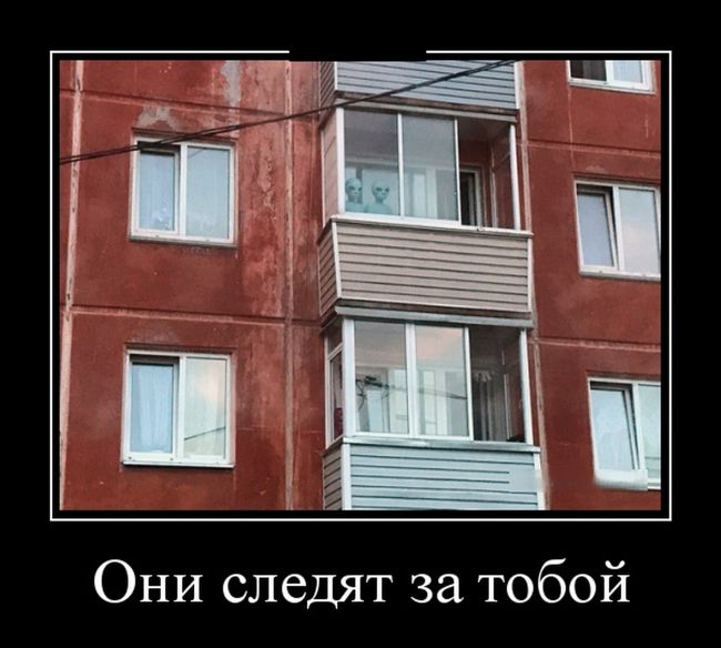 Демотиваторы