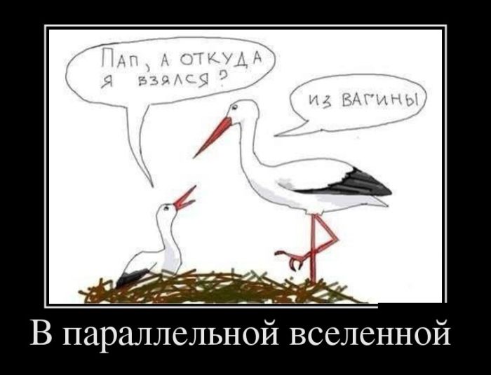 Демотиваторы