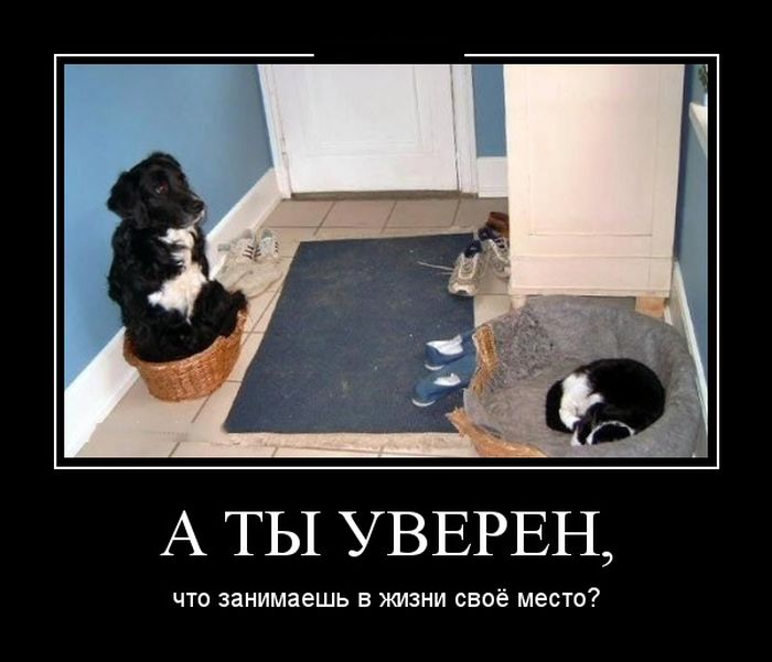 Демотиваторы