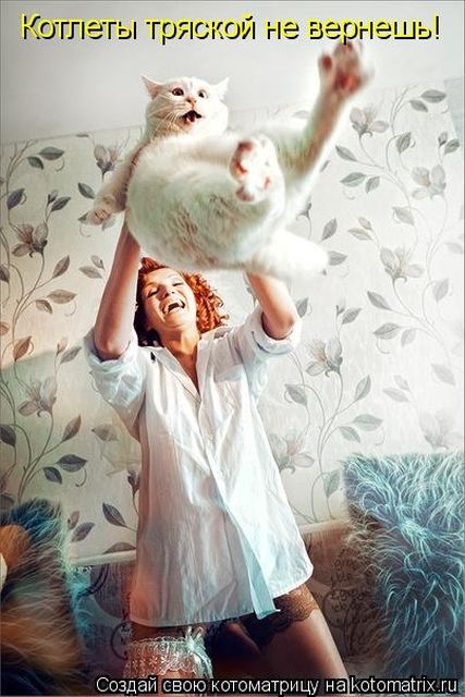 Лучшие котоматрицы недели