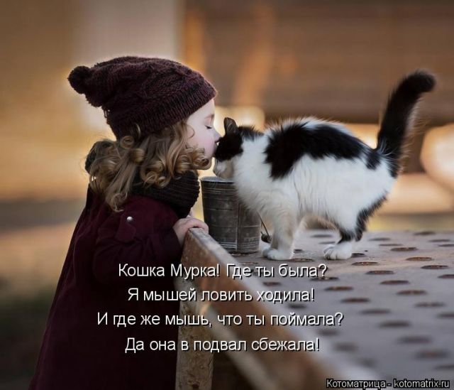 Лучшие котоматрицы недели