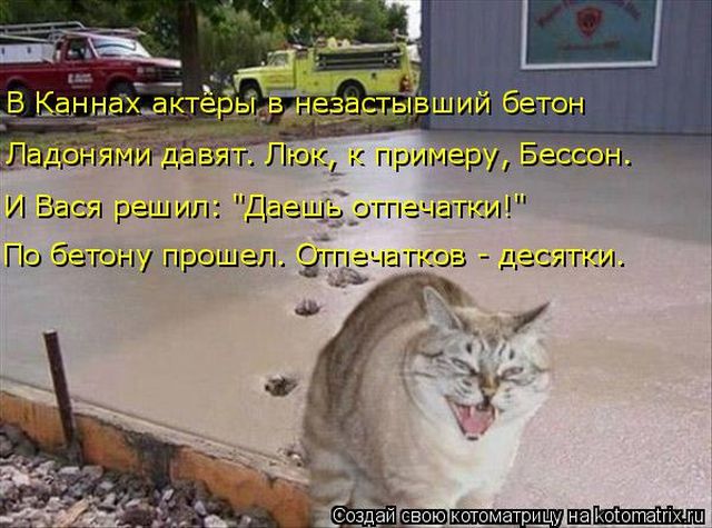Лучшие котоматрицы недели