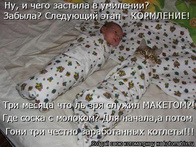 Лучшие котоматрицы недели