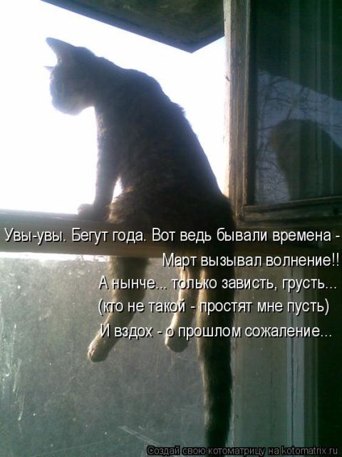 Лучшие котоматрицы недели