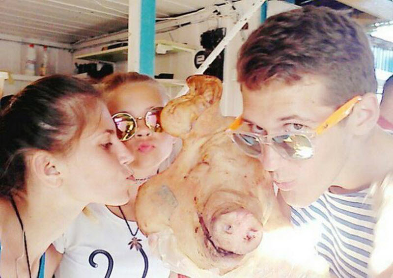 Веселые и загадочные фотографии из социальных сетей