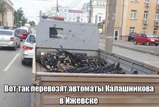 Прикольные картинки