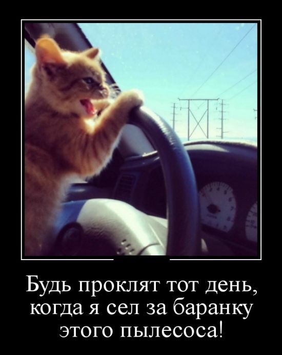 Демотиваторы