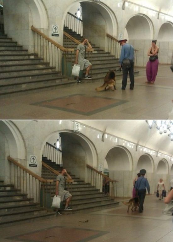 Прикольные картинки