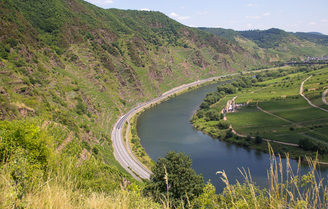 Как в Германии делают вино (33 фото) Как в Германии делают вино (33 фото)