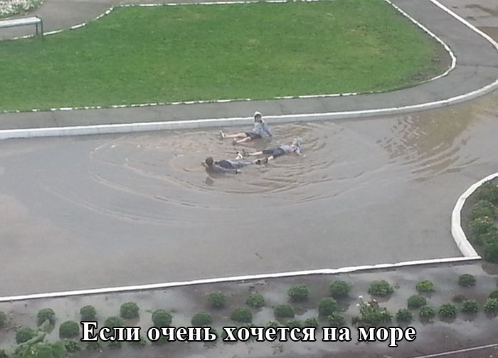 Порция картинок