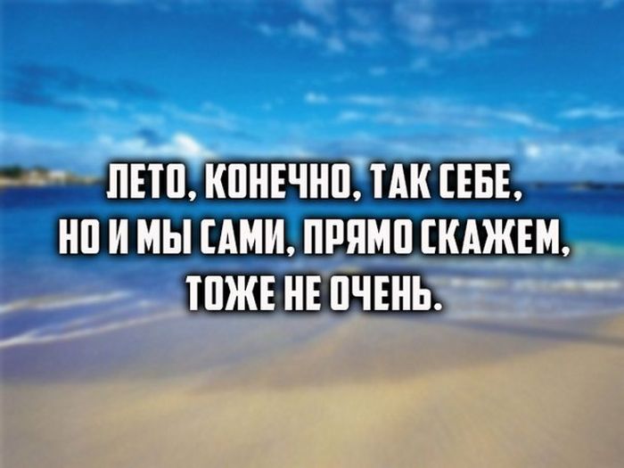 Порция картинок
