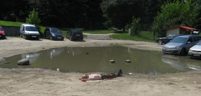 Прикольные картинки