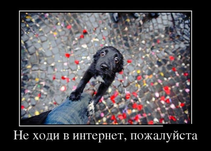 Демотиваторы