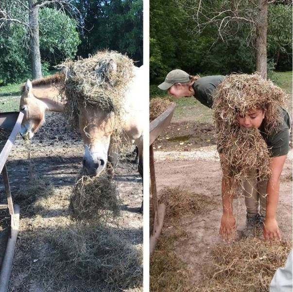 Прикольные картинки