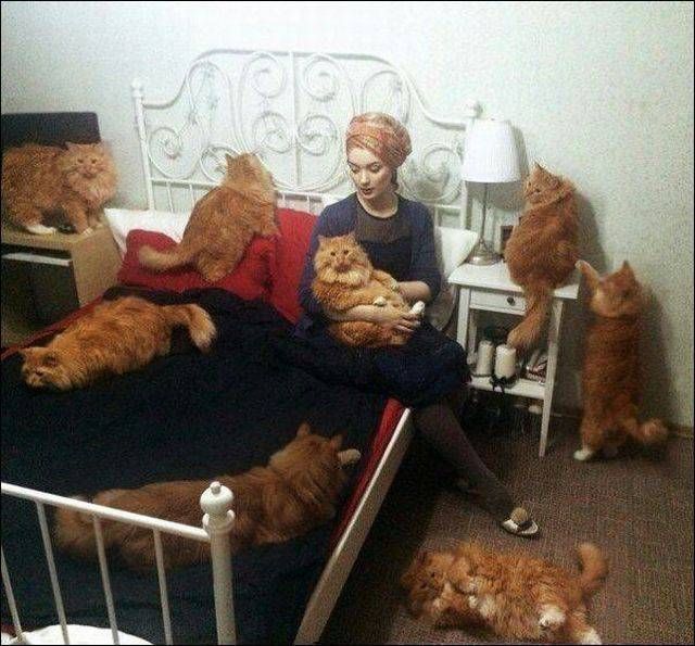 Прикольные картинки