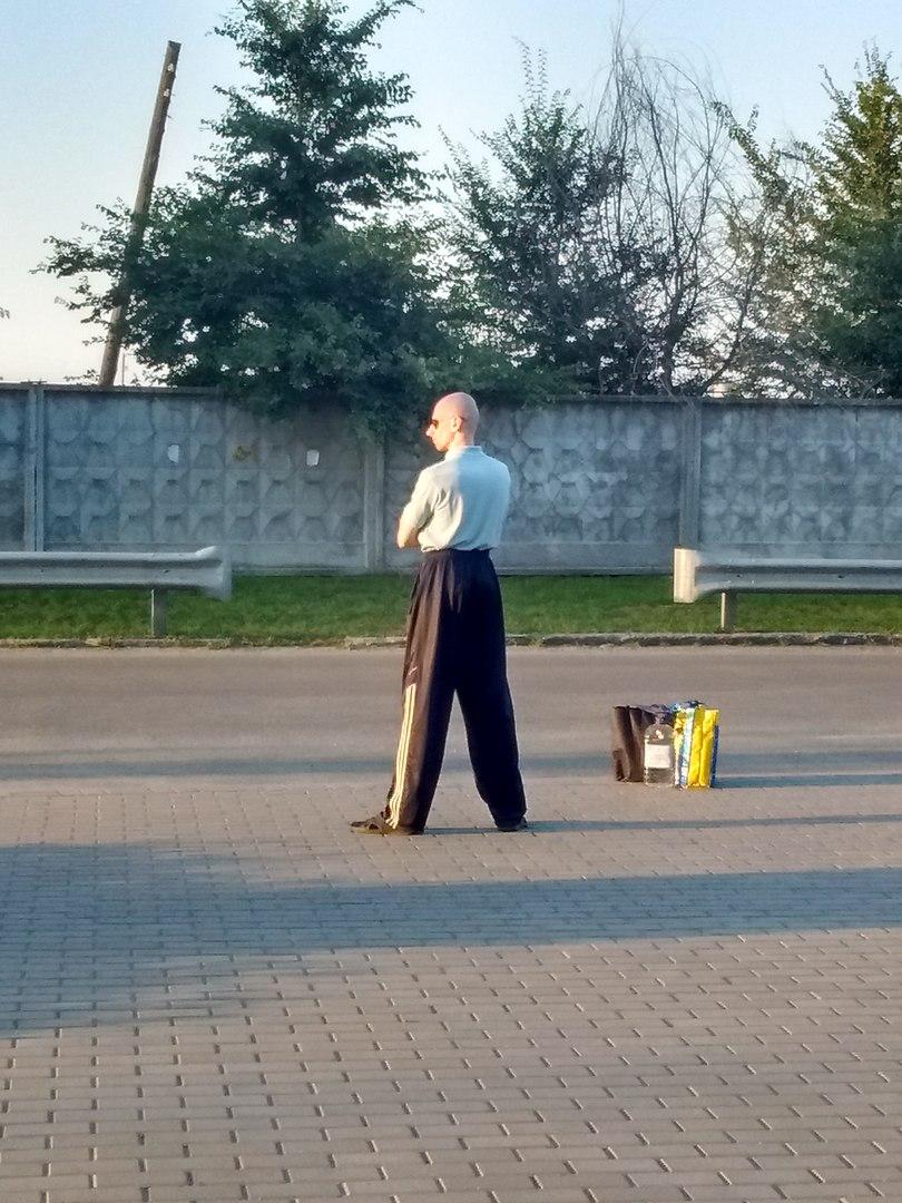 Вестник социальных сетей
