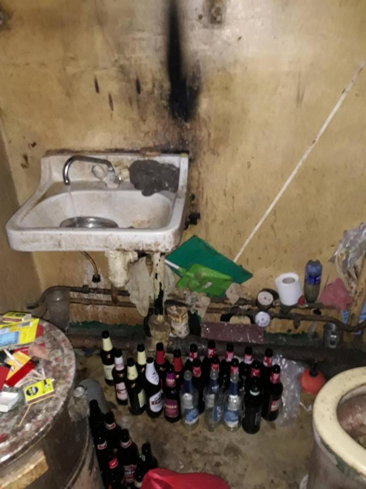 В Риге пенсионерка в квартире держала более 20 кошек