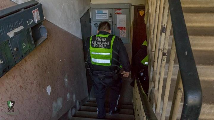 В Риге пенсионерка в квартире держала более 20 кошек