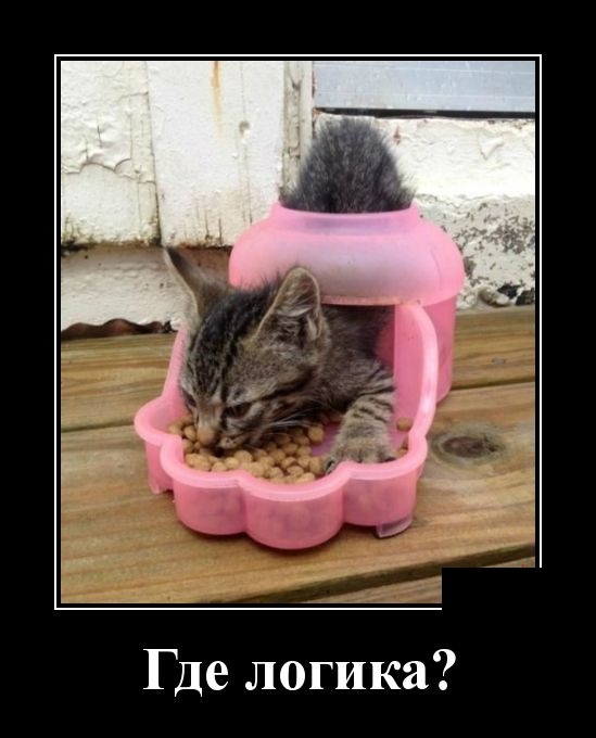 Демотиваторы