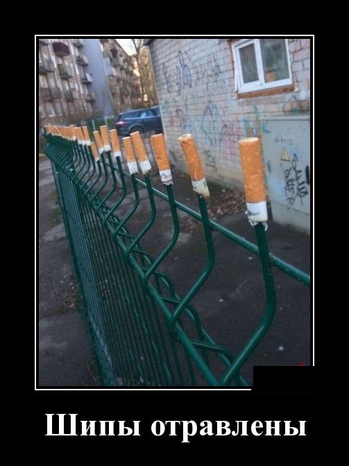 Демотиваторы