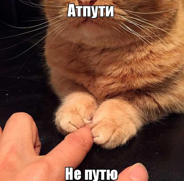 Учительница младших классов