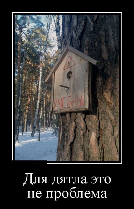 Демотиваторы