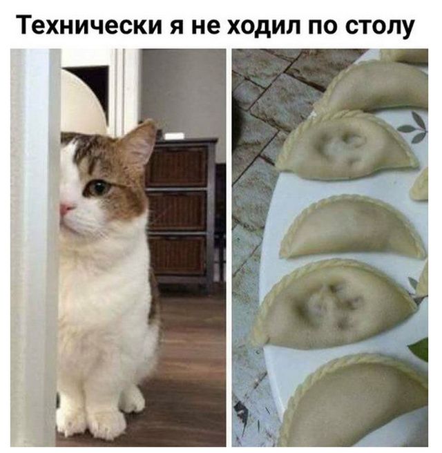 Прикольные картинки