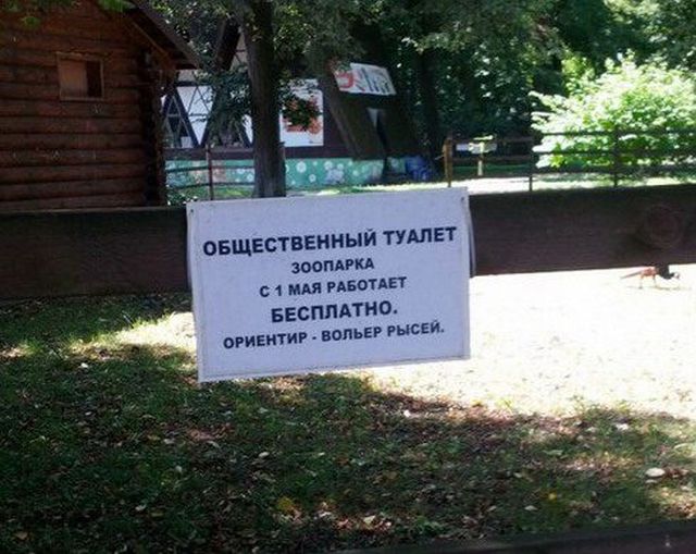 Забавные информационные объявления
