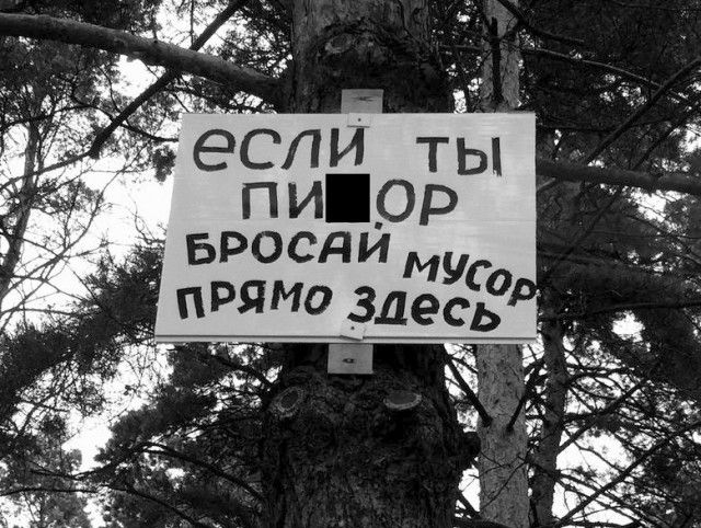 Забавные информационные объявления