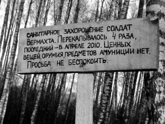 Забавные информационные объявления