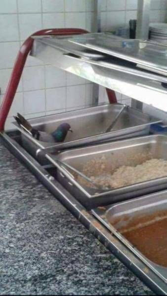 Фото, от которых становится немного не по себе